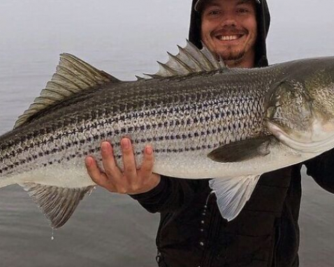South Portland Striped Bass Fishing Charter