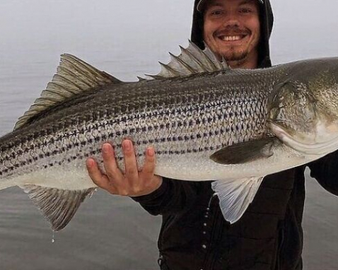 South Portland Striped Bass Fishing Charter