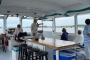Wilmington Wildlife and History River Cruise