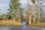 Wilmington Sunset Cruise on Cape Fear River