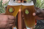 Sanford Craft Beer Tasting and Tour