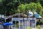 Miami Guided Bus and Boat Tour Combo