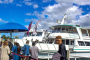 Miami Guided Bus and Boat Tour Combo