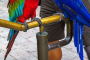 Miami Guided Bus and Boat Tour Combo