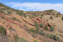 Red Rocks to Dinosaur Tracks and Gold Mine Tour