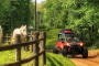 Middle Tennessee Back Country Side by Side Adventure