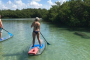 Bonita Springs Clear Kayak Eco Tour