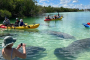 Fort Myers Beach Clear Kayaking Eco-Tour