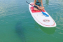 Fort Myers Beach Clear Kayaking Eco-Tour