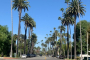 Los Angeles Celebrity Homes and Hollywood Sign Tour