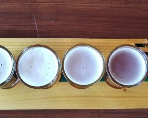San Diego Craft Beer Tour