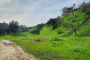 Los Angeles Eco Tour and Secret Stair Hike