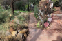 Los Angeles Eco Tour and Secret Stair Hike
