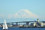 Scenic Seattle Harbor Cruise