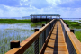 Orlando Everglades Airboat Tour