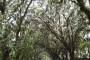 St. Augustine Historic City Day Trip