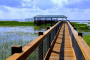 Orlando Wild Florida Wildlife Adventure Tour