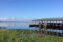 Orlando Wild Florida Wildlife Adventure Tour