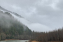 Seattle Bald Eagle Nesting River Tour