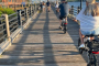 Wilmington E-Bike City and Nature Tour