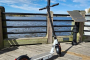 Wilmington E-Bike City and Nature Tour