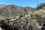 Phoenix Sonoran Desert Guided Hike And Yoga