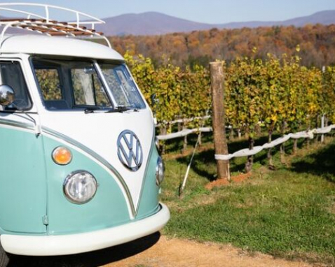 Charlottesville Vintage VW Bus Private Wine Tour