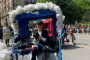 Central Park Private Guided Pedicab Tour