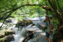Nashville Waterfall Hiking Experience