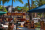 Miami Open Top Bus Tour