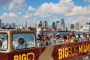 Miami Open Top Bus Tour