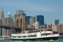 New York City Sightseeing Bus and Cruise