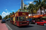 Miami Everglades Wildlife and Panoramic Boat Tour