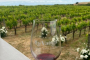 San Francisco Napa and Sonoma Valley Wine Bus Tour