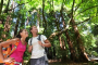 San Francisco Woods and Wine Day Tour