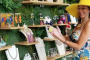 Little Havana Cultural Walking Tour