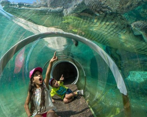 Zoo Miami Experience