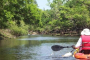 Cocoa Beach Manatee and Dolphin Kayaking