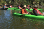 Cocoa Beach Manatee and Dolphin Kayaking