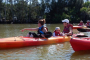 Cocoa Beach Manatee and Dolphin Kayaking