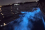 Indian River Bioluminescence Kayak Tour