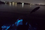 Cocoa Beach Clear Kayak Bioluminescence Tour