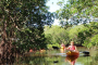 Fort Myers Wildlife Kayaking Adventure