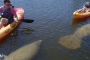 Fort Myers Beach Sunset Kayaking Adventure