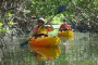 Pelican Bay Kayaking and Wildlife Adventure