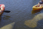 Pelican Bay Kayaking and Wildlife Adventure