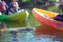Pelican Bay Kayaking and Wildlife Adventure