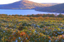 Canandaigua Wine Trail With Tastings