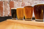 Canandaigua Breweries Tour With Tastings