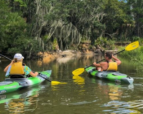 Hilton Head Island Kayaking and Boat Tour